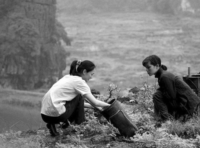 Sapphic Movies: The Chinese Botanist's Daughters