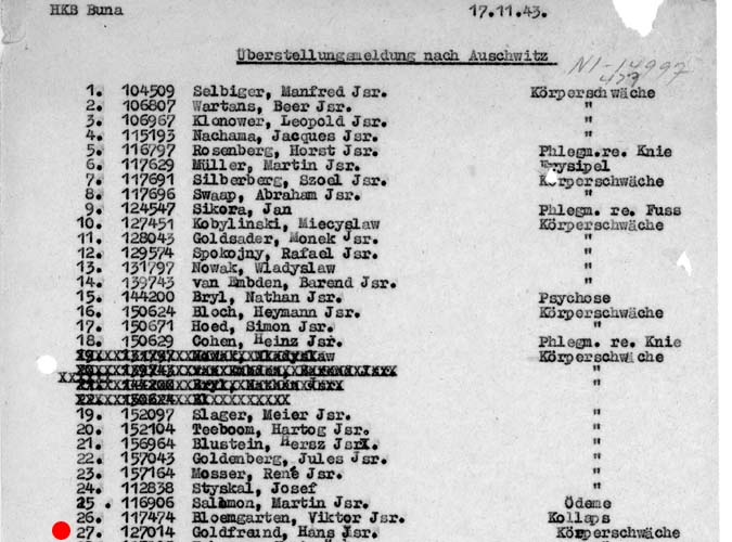 Auschwitz III Monowitz hospital register 1943, 17 Nov: Hans Goldfreund sent to Auschwitz II Birkenau
