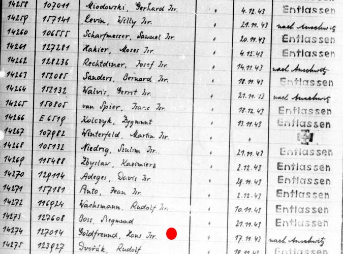 Auschwitz III Monowitz hospital register 1943, 17 Nov: Hans Goldfreund sent to Auschwitz II Birkenau