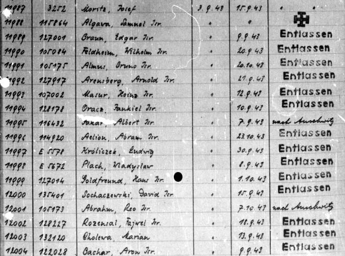 Auschwitz III Monowitz hospital register 1943, 3 Sept: Hans Goldfreund