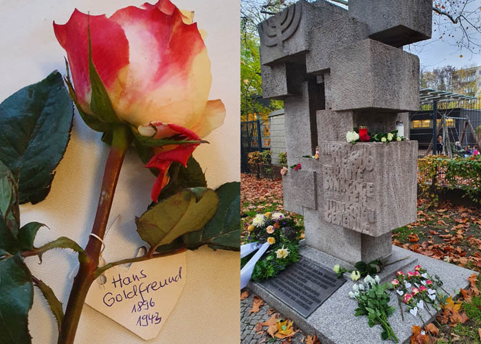 A beautiful rose for Hans Goldfreund laid on November 9 2020 for Kristallnacht, Berlin commemoration