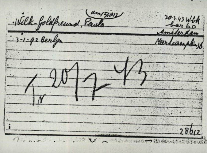 Paula Goldfreund Wilk