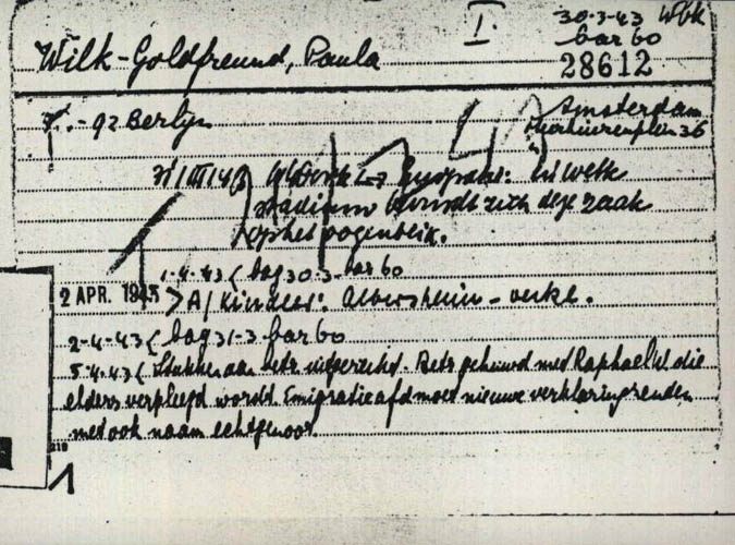 Paula Wilk Goldfreund