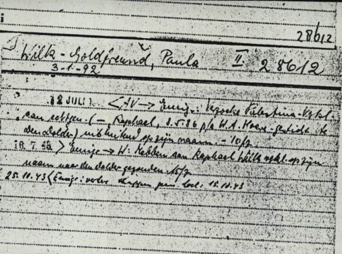 Paula Wilk Goldfreund