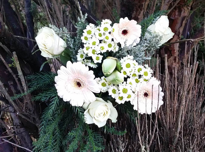 Muttis gravestone no longer at Friedhof Bornkamp, Hamburg XIIc 590